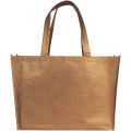 Bolsa de compra no tejida laminada "Alloy"