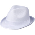 Sombrero Trilby
