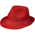 Sombrero con cinta Trilby