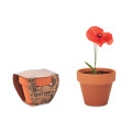RED POPPY Juego de macetas de terracota