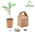 GROWTREE™ Set pino
