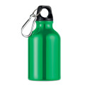 Botella de aluminio 300 ml Moss