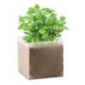 BASIL Bolsa de semillas de albahaca