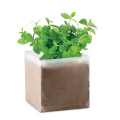 MINT Bolsa semillas de menta