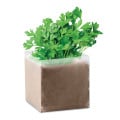 PARSELY Bolsa con semillas de perejil