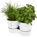 Maceta doble para cocina Herbs