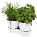 Maceta doble para cocina Herbs