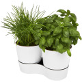 Maceta doble para cocina Herbs