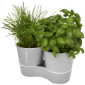 Maceta doble para cocina Herbs
