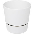 Maceta para cocina Herbs