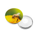 Button III. Pin