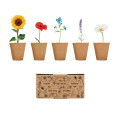 FLOWERS Kit de cultivo de flores