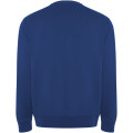 Sudadera de cuello redondo unisex algodón orgánico "Batian"