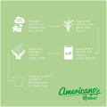 Vaso de 200 ml "Americano® Switch Renew"