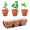 FLOWERPOT Juego de macetas de terracota
