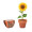 SUNFLOWER Juego de macetas de terracota