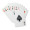 ARUBA Juego de cartas en caja