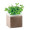 MINT Bolsa semillas de menta