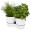 Maceta doble para cocina Herbs