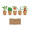 SALAD Kit de cultivo de verduras