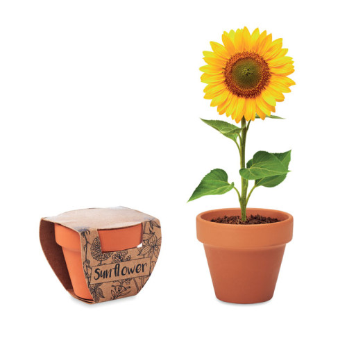SUNFLOWER Juego de macetas de terracota