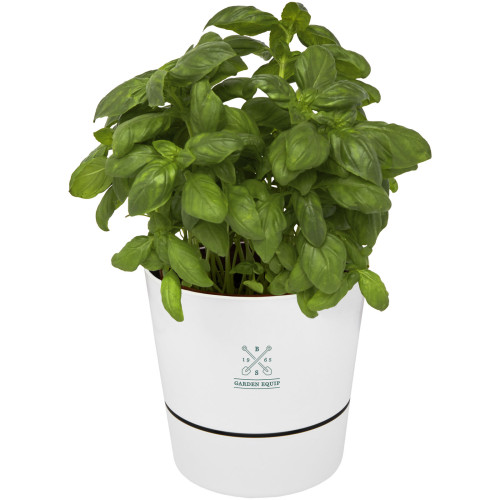 Maceta para cocina Herbs