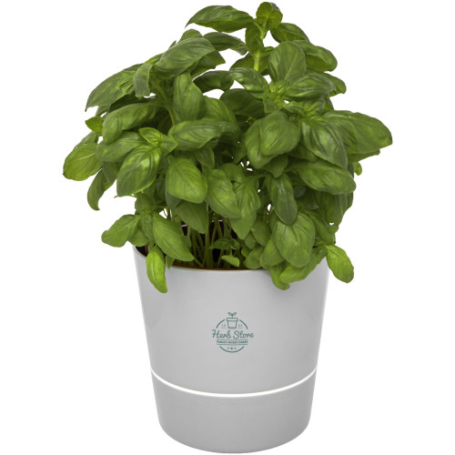 Maceta para cocina Herbs