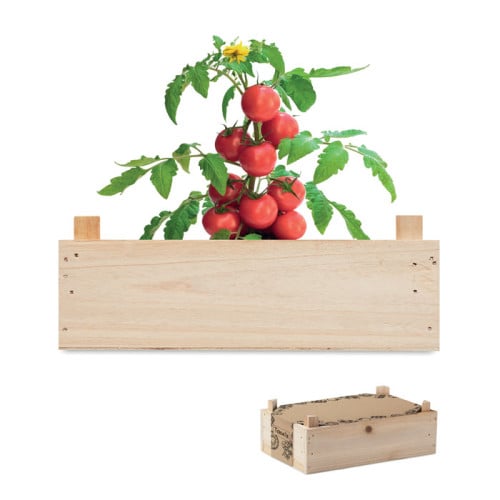 TOMATO Mini-huerto tomates en caja